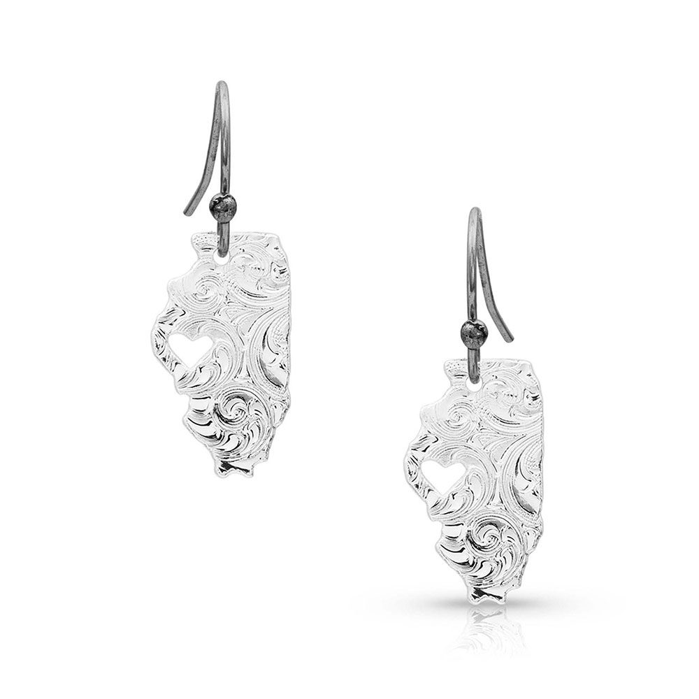 I Heart Illinois State Charm Earrings