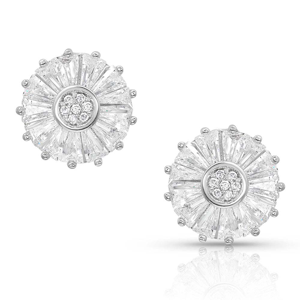 Twinkle Wheel Post Earrings