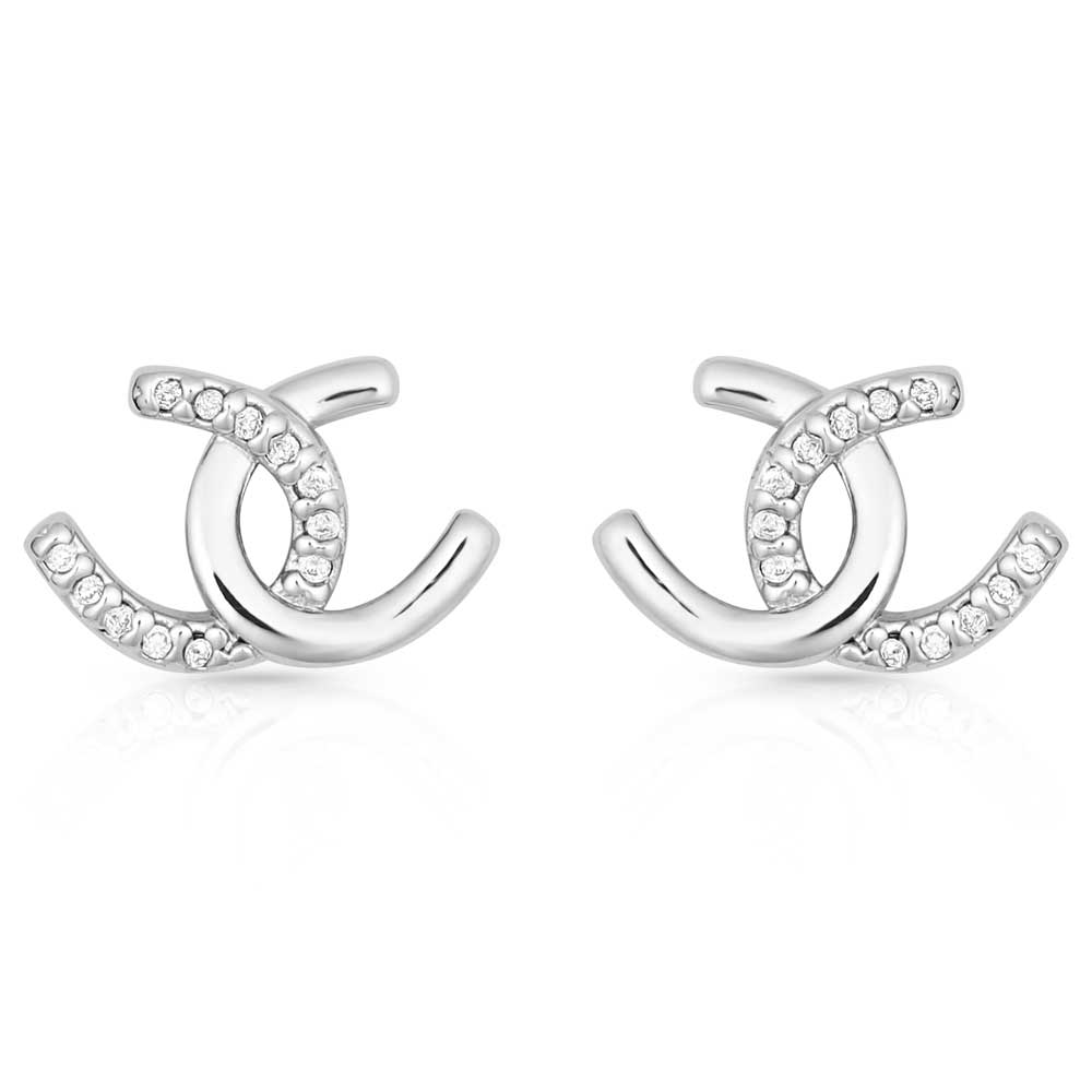 Horseshoe Happiness Post Earrings