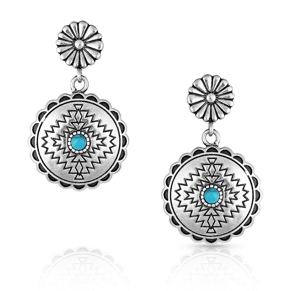Storm Coin Earrings
