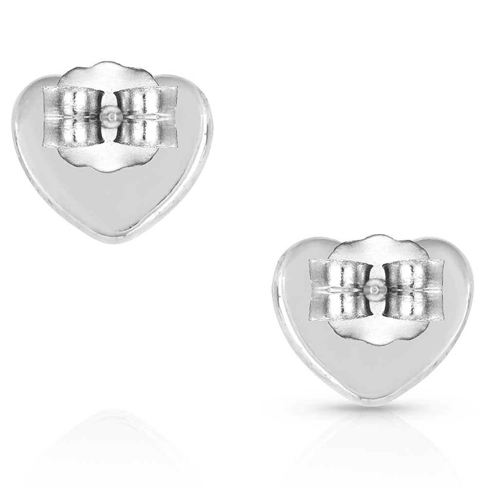 Hidden Lake Glacial Pools Earrings