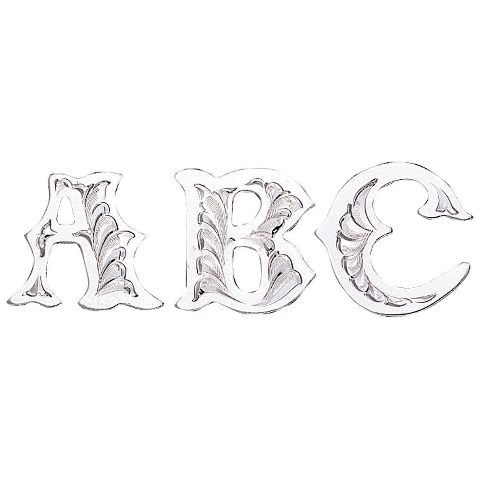 Silver Trim Letter